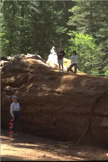 small_9400 0654 wdc yosemite ca hiImg0018.webp